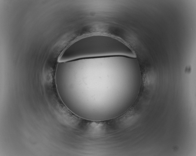 X0000112040570200908031519