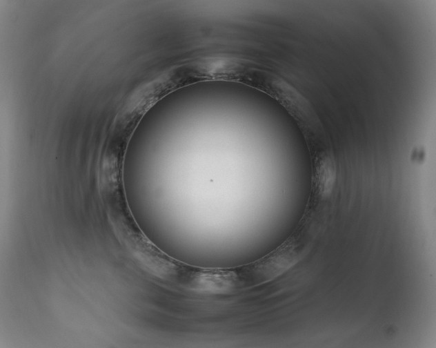 X0000112040571200908031519