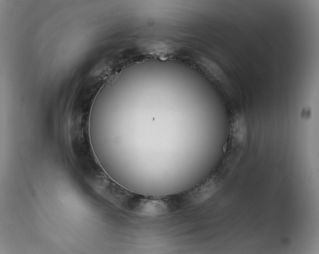 X0000112040572200908031519