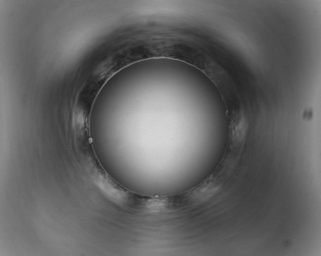 X0000112040574200908031519
