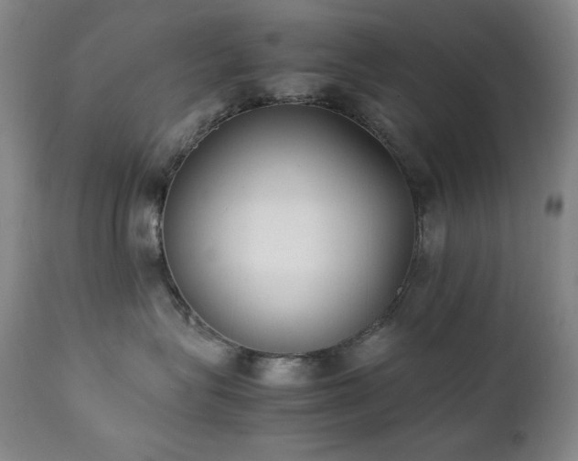 X0000112040575200908031519