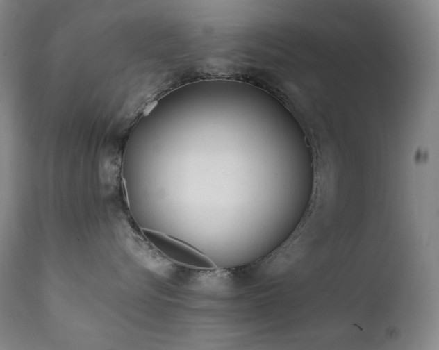 X0000112040576200908031519