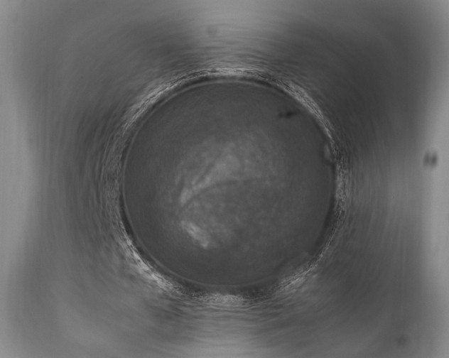 X0000112040577200908031519