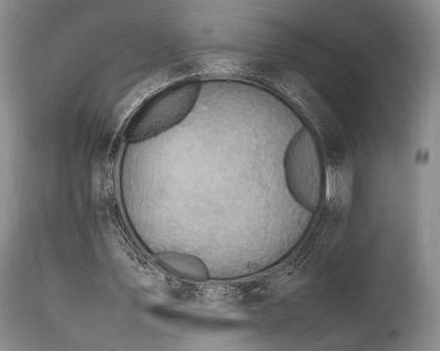 X0000112040579200908031519