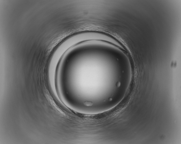 X0000112040581200908031519