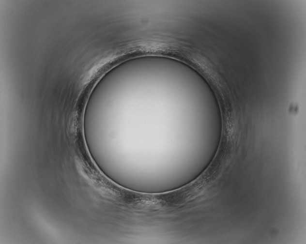 X0000112040583200908031519
