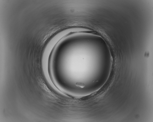 X0000112040585200908031518