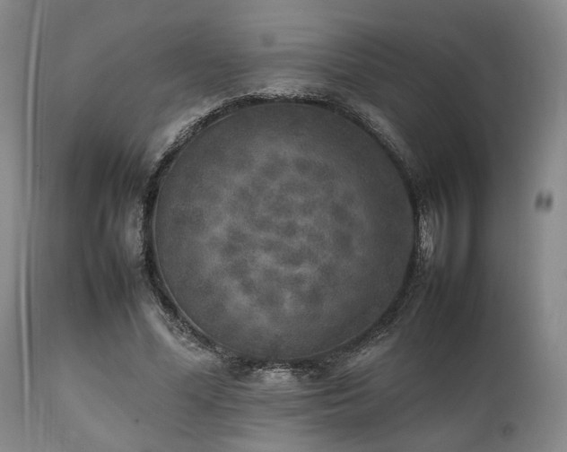 X0000112040588200908031518