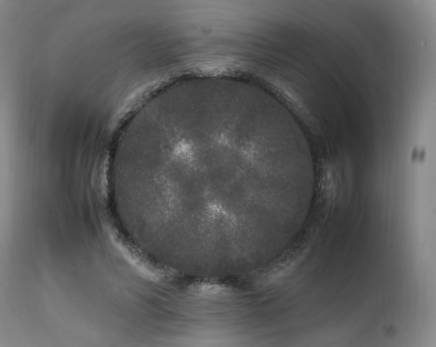 X0000112040590200908031518