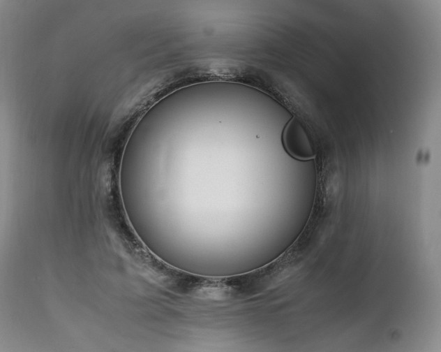 X0000112040595200908031518