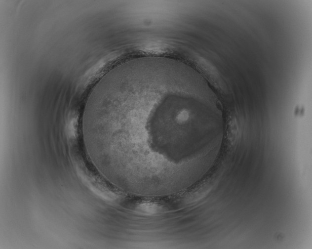 X0000112040596200908031518