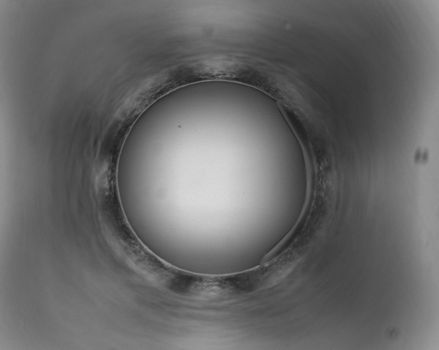 X0000112040597200908031518