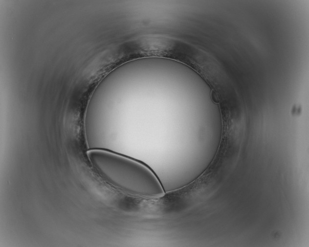X0000112040599200908031518
