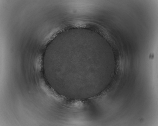 X0000112040600200908031518