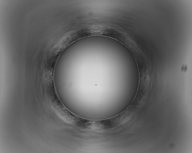 X0000112040601200908031518