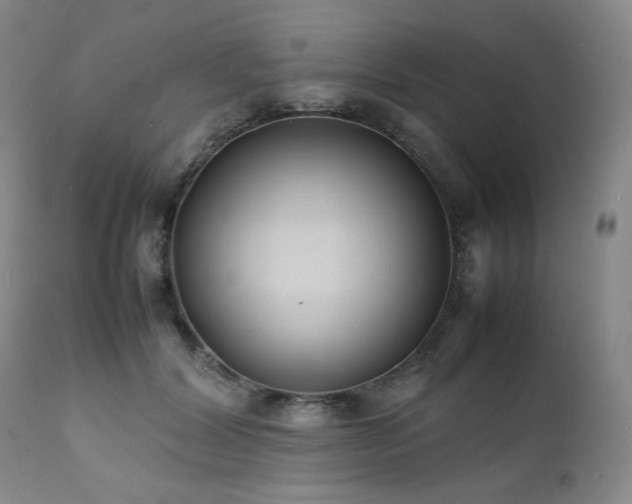 X0000112040604200908031518