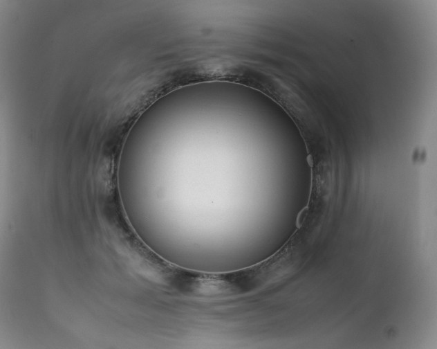 X0000112040605200908031518