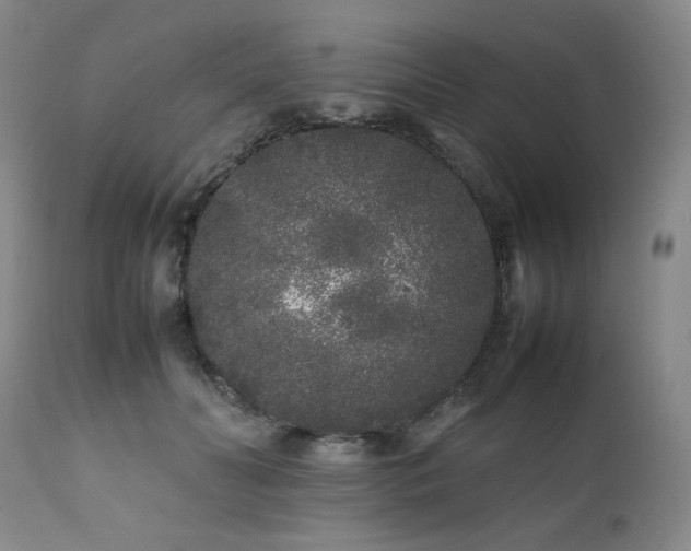 X0000112040606200908031518