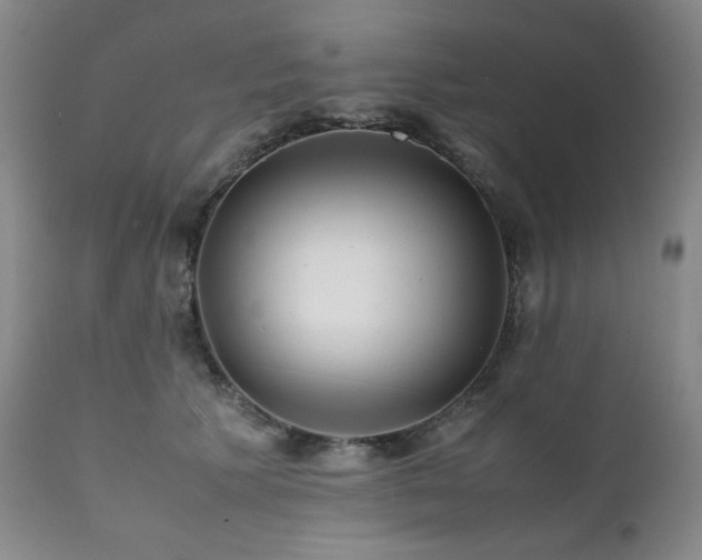 X0000112040609200908031518