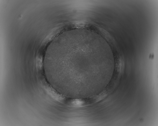 X0000112040610200908031518
