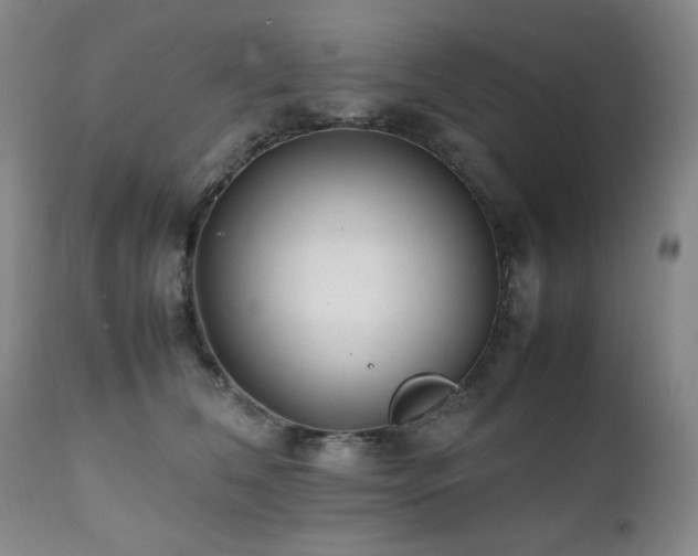X0000112040612200908031518