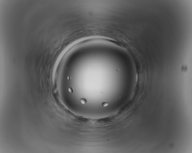 X0000112040613200908031518