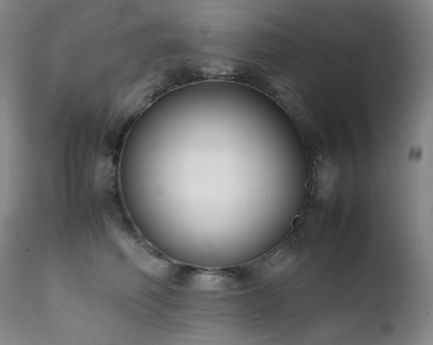 X0000112040614200908031518
