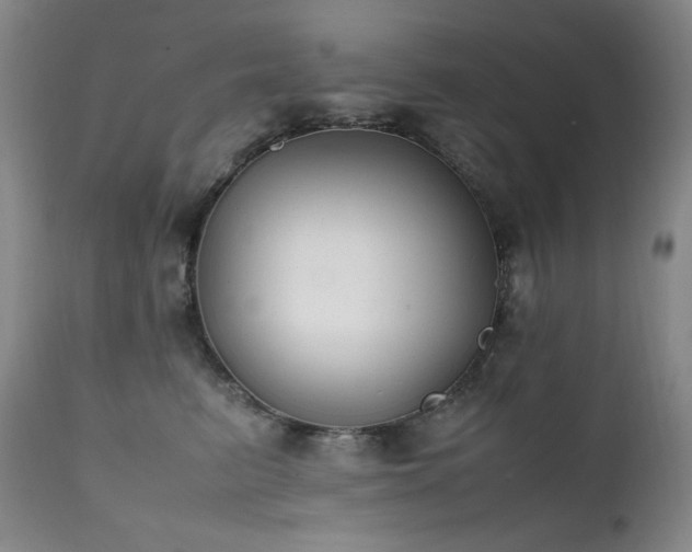 X0000112040615200908031518