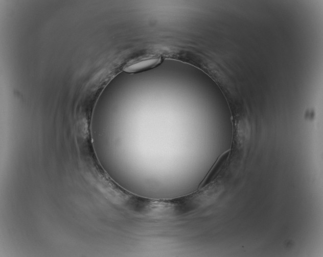 X0000112040617200908031518