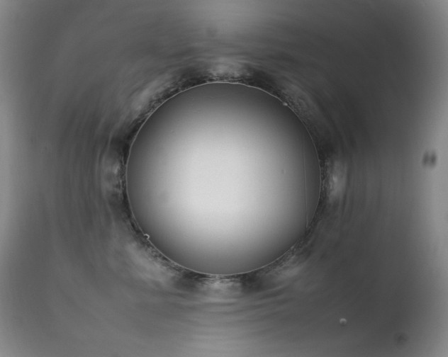 X0000112040619200908031518