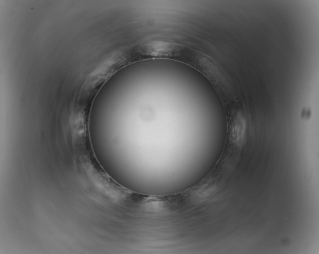 X0000112040620200908031518