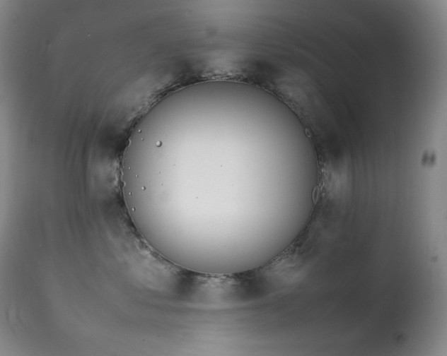 X0000112040621200908031518