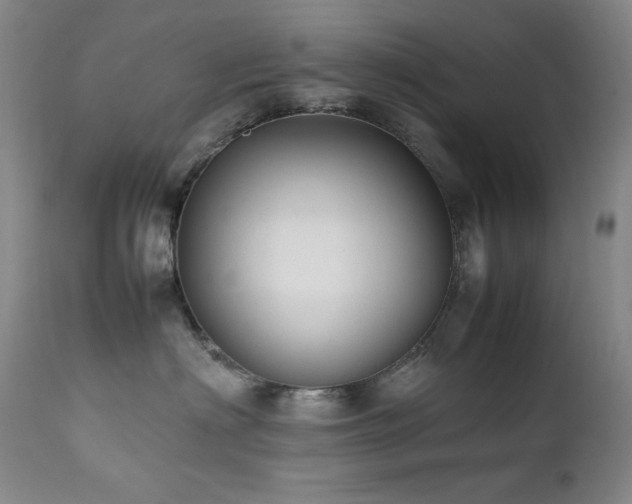 X0000112040622200908031518