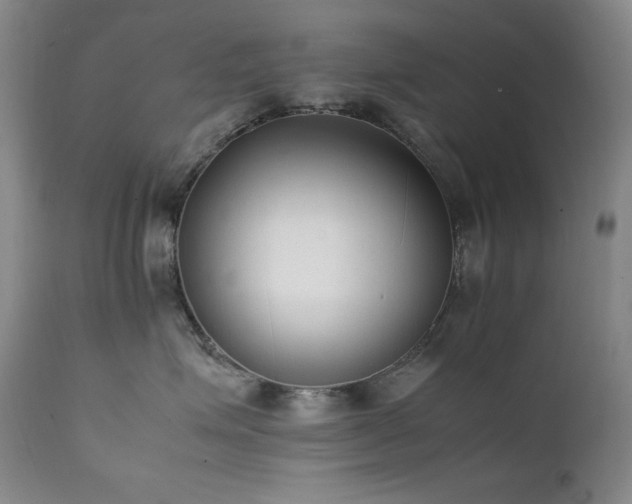 X0000112040623200908031518