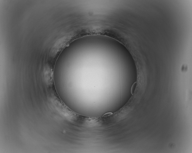 X0000112040624200908031518