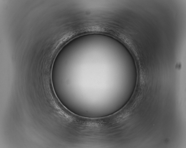 X0000112040625200908031517