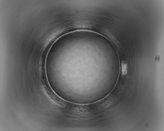 X0000112040627200908031517