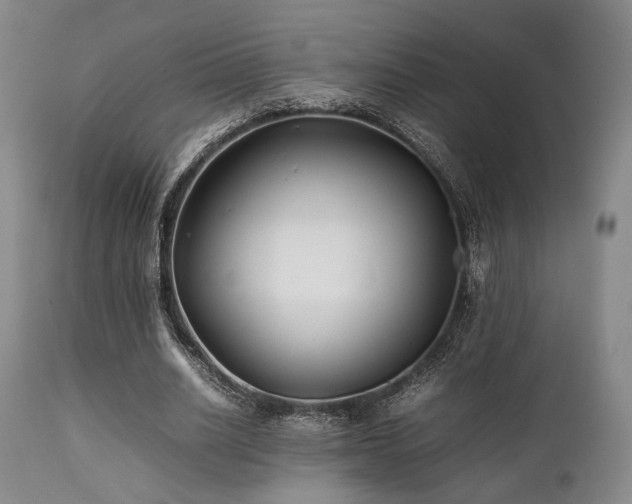 X0000112040630200908031517