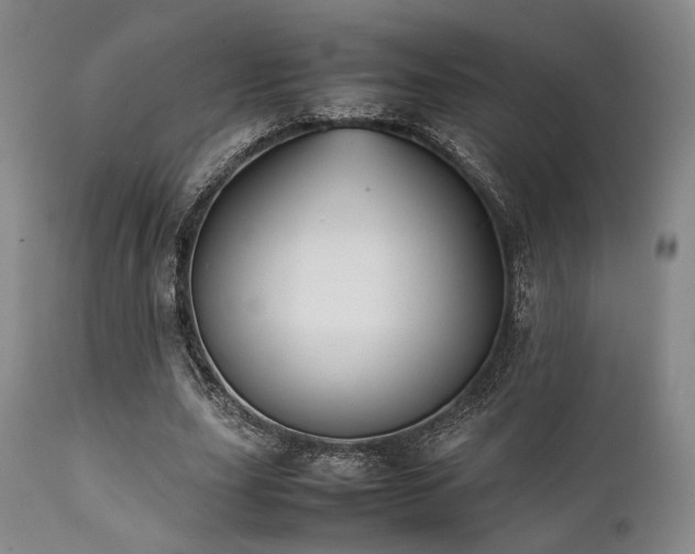 X0000112040631200908031517