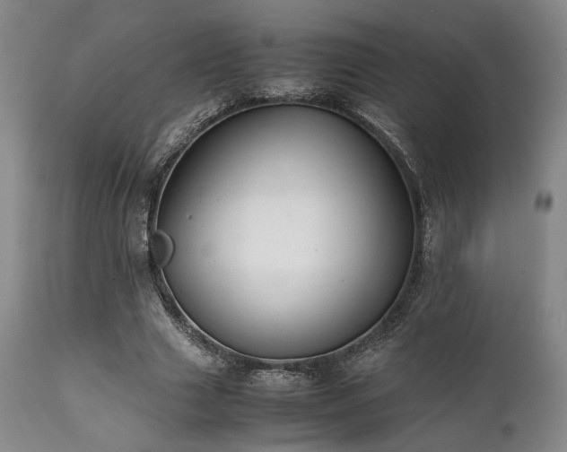 X0000112040633200908031517