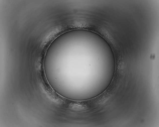 X0000112040635200908031517