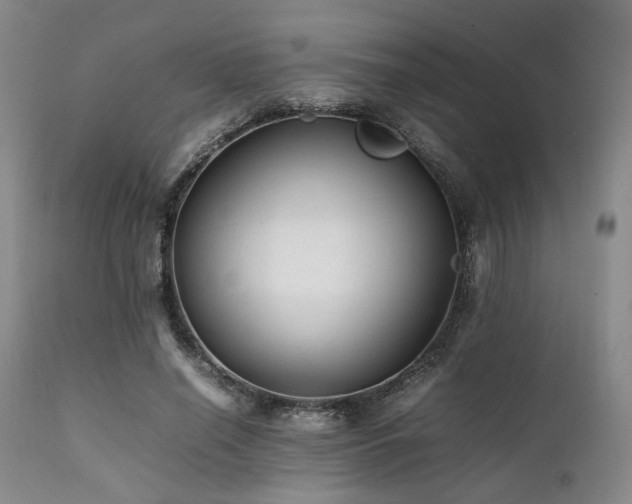 X0000112040638200908031517