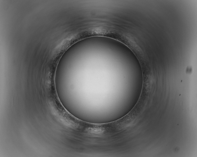X0000112040639200908031517