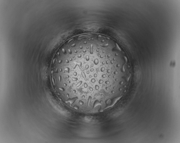 X0000112040641200908031518