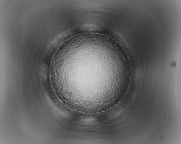 X0000112040643200908031518