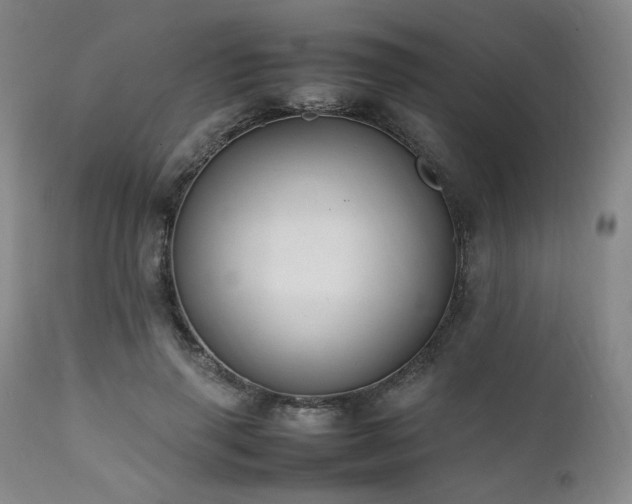 X0000112040645200908031518