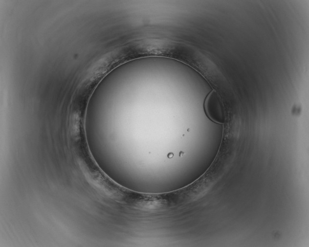 X0000112040646200908031518