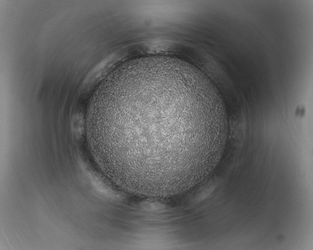X0000112040648200908031518