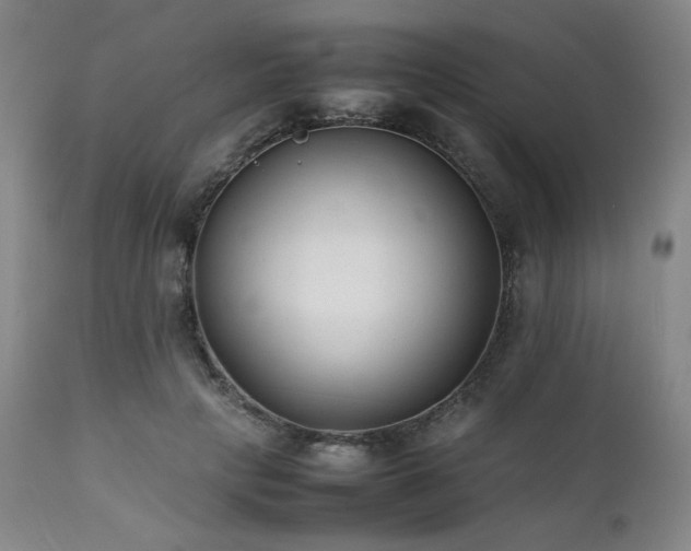 X0000112040649200908031518