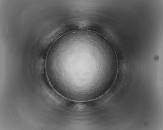 X0000112040650200908031518